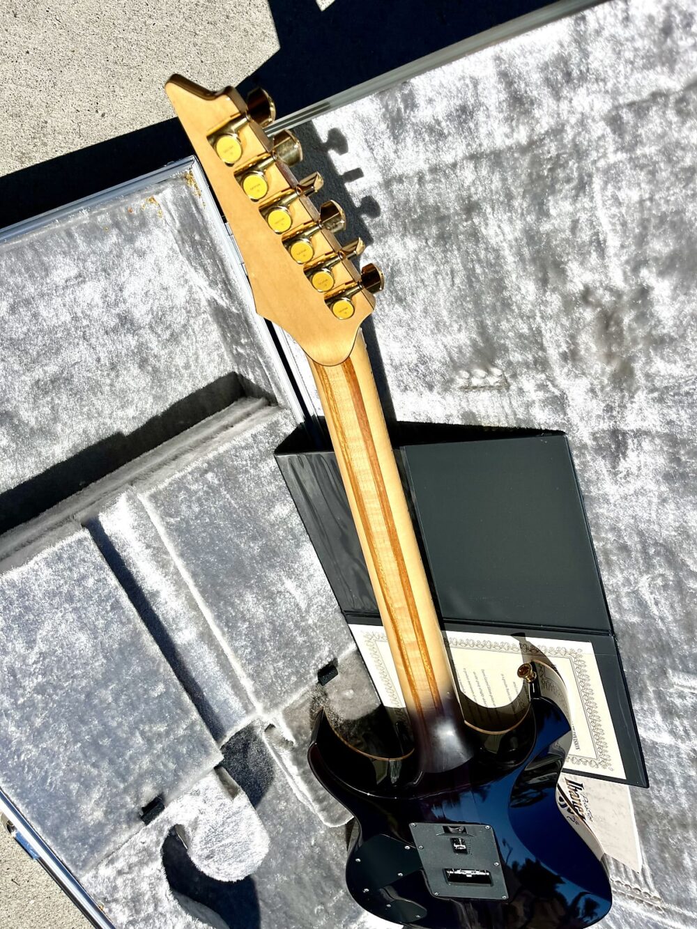 Ibanez RG9670Z DMN