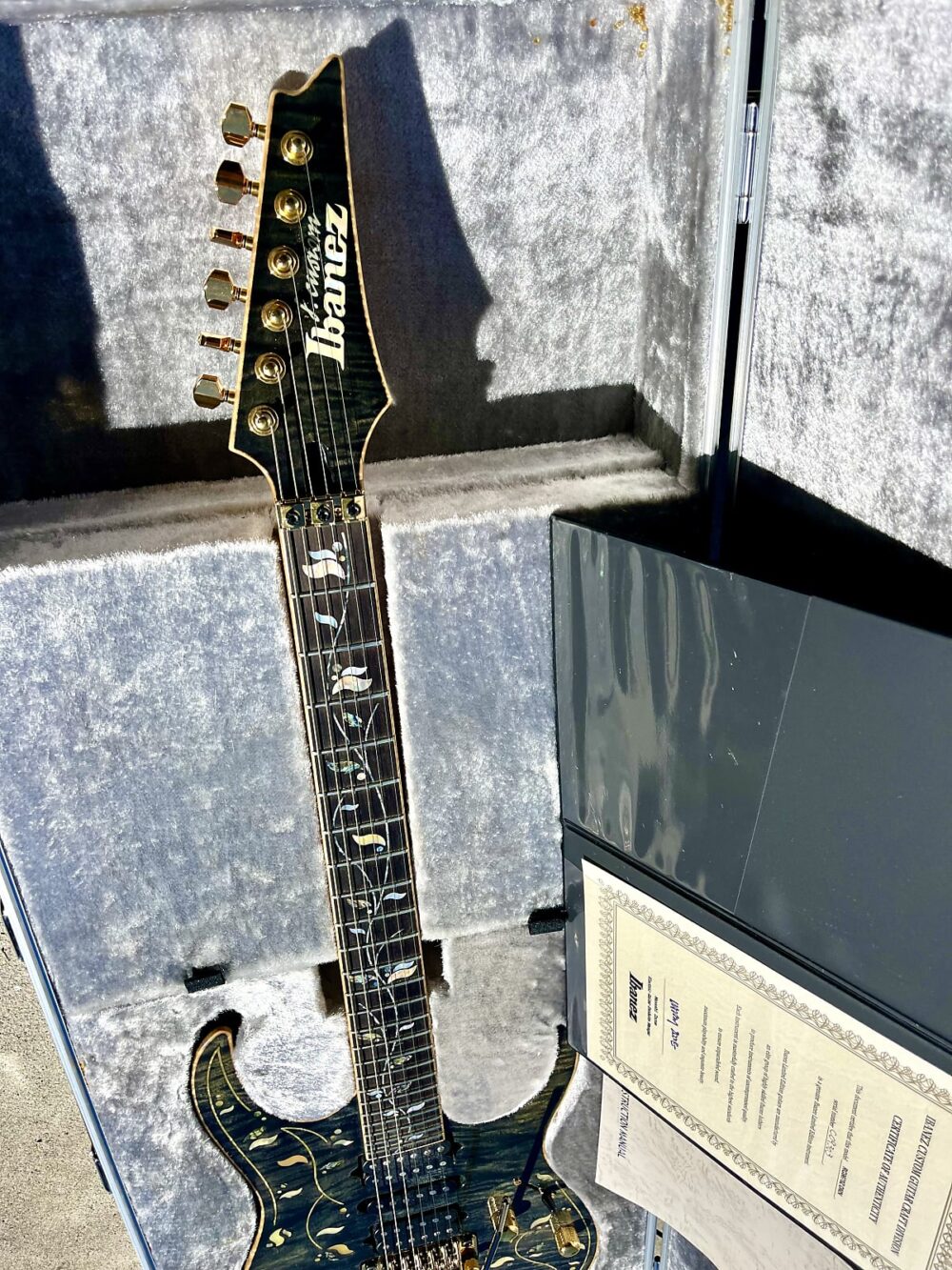 Ibanez RG9670Z DMN