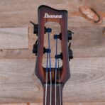 Ibanez UB804 Upright Bass Mahogany Oil Burst w/Tama Roadpro Stand - My Store