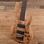 LTD B-205 Spalted Maple 2021 - My Store