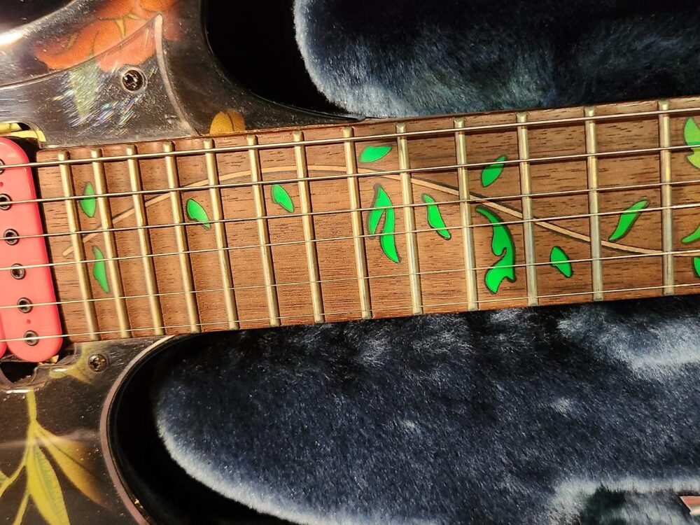 Ibanez JEM77FP Steve Vai Signature Model Black Floral Pattern