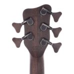 Warwick CO Streamer 5-String Custom Finish - My Store