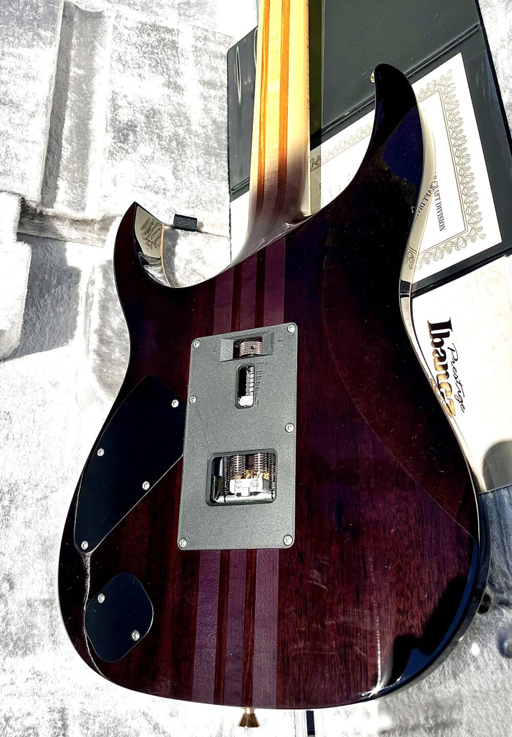 Ibanez RG9670Z DMN