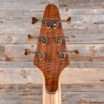 Alembic Rogue Walnut 1996 - My Store