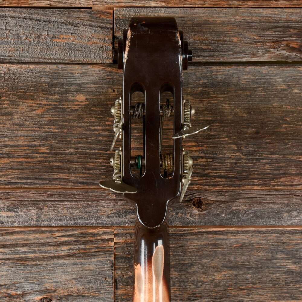 Ampeg Baby Bass Brown 1960s - My Store