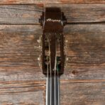 Ampeg Baby Bass Brown 1960s - My Store