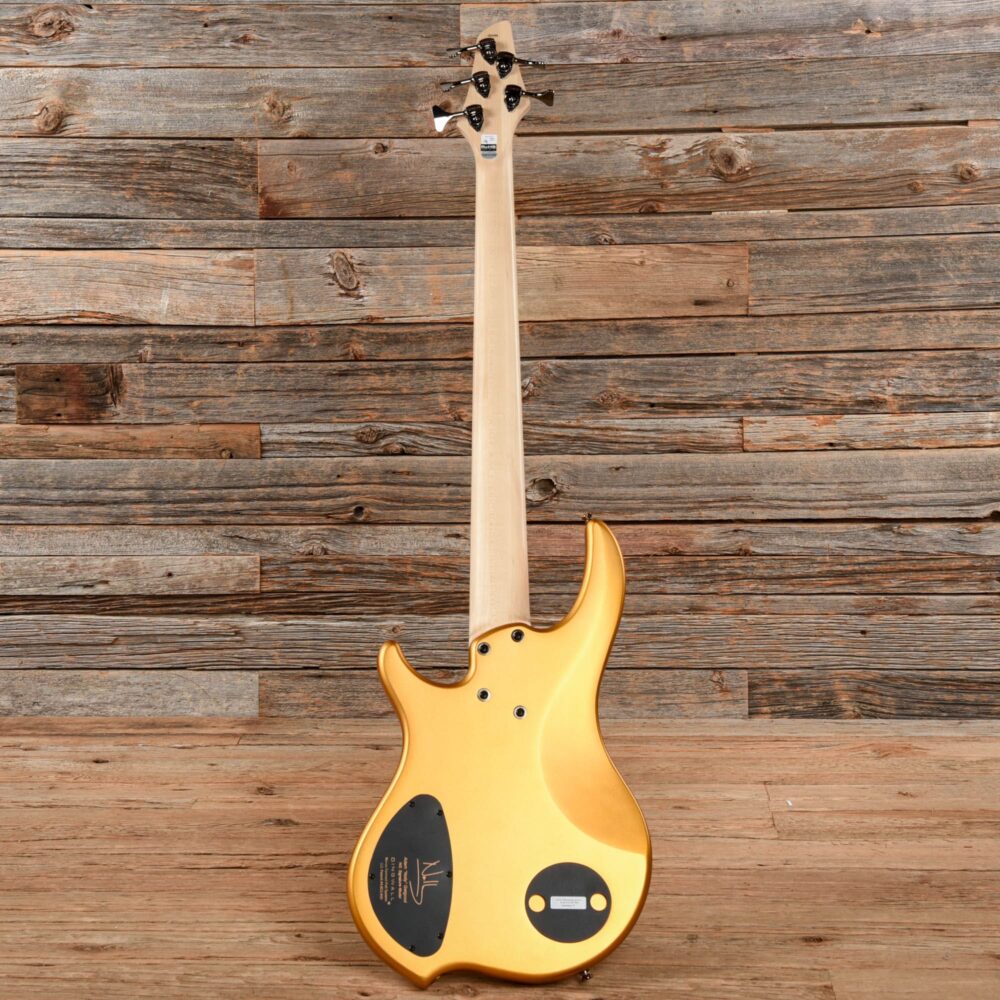Dingwall NG3 Adam "Nolly" Getgood Signature Matte Gold Metallic - My Store