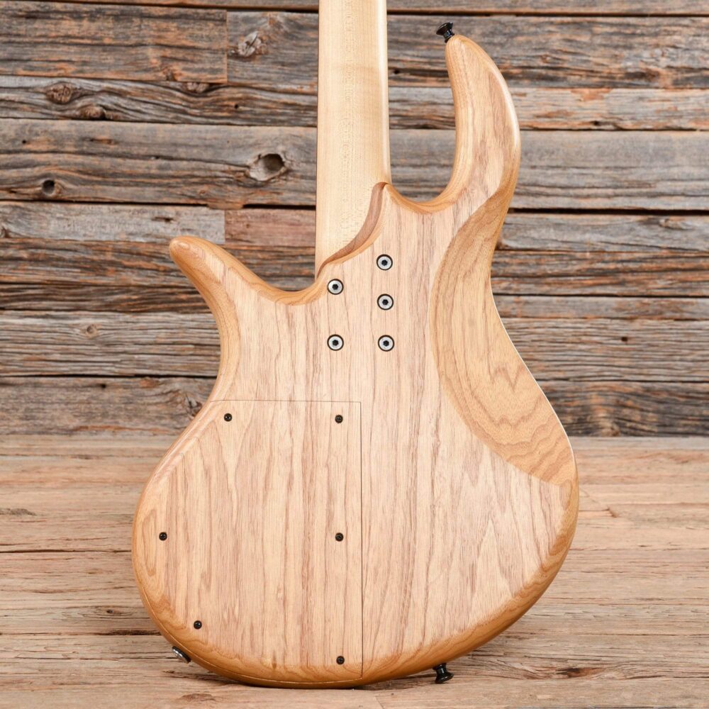 Elrick E-Volution Gold Series Maple Burl 2005 - My Store