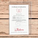 Fodera Viceroy Deluxe 4 Burmese Sal Top Roasted Ash Body w/Birdseye Maple Fingerboard - My Store