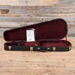 Fodera Viceroy Deluxe 4 Burmese Sal Top Roasted Ash Body w/Birdseye Maple Fingerboard - My Store