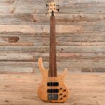 Ken Smith BSR 6M 6-String Bass Tiger Maple 1999 - My Store