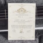 Mayones Viking 4 Blue Horizon w/Fishman Fluence - My Store