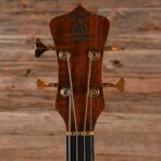 Alembic Stanley Clarke Short Scale Standard Figured Walnut 1993 - My Store