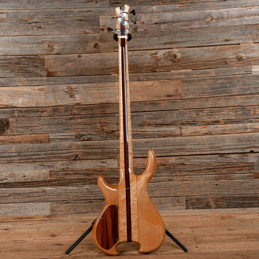 Tobias Omega 5-String Fretted Conversion  1987 - My Store