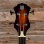National N Bass Nickel - My Store