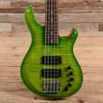 PRS GG5 Gary Grainger 10 Top Eriza Verde 2017 - My Store