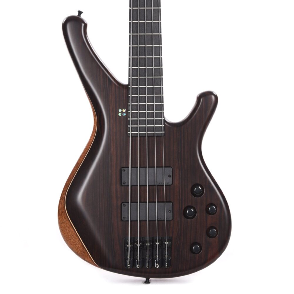 Sandberg Classic Special 5-String Macassar Natural w/Matching Headstock - My Store