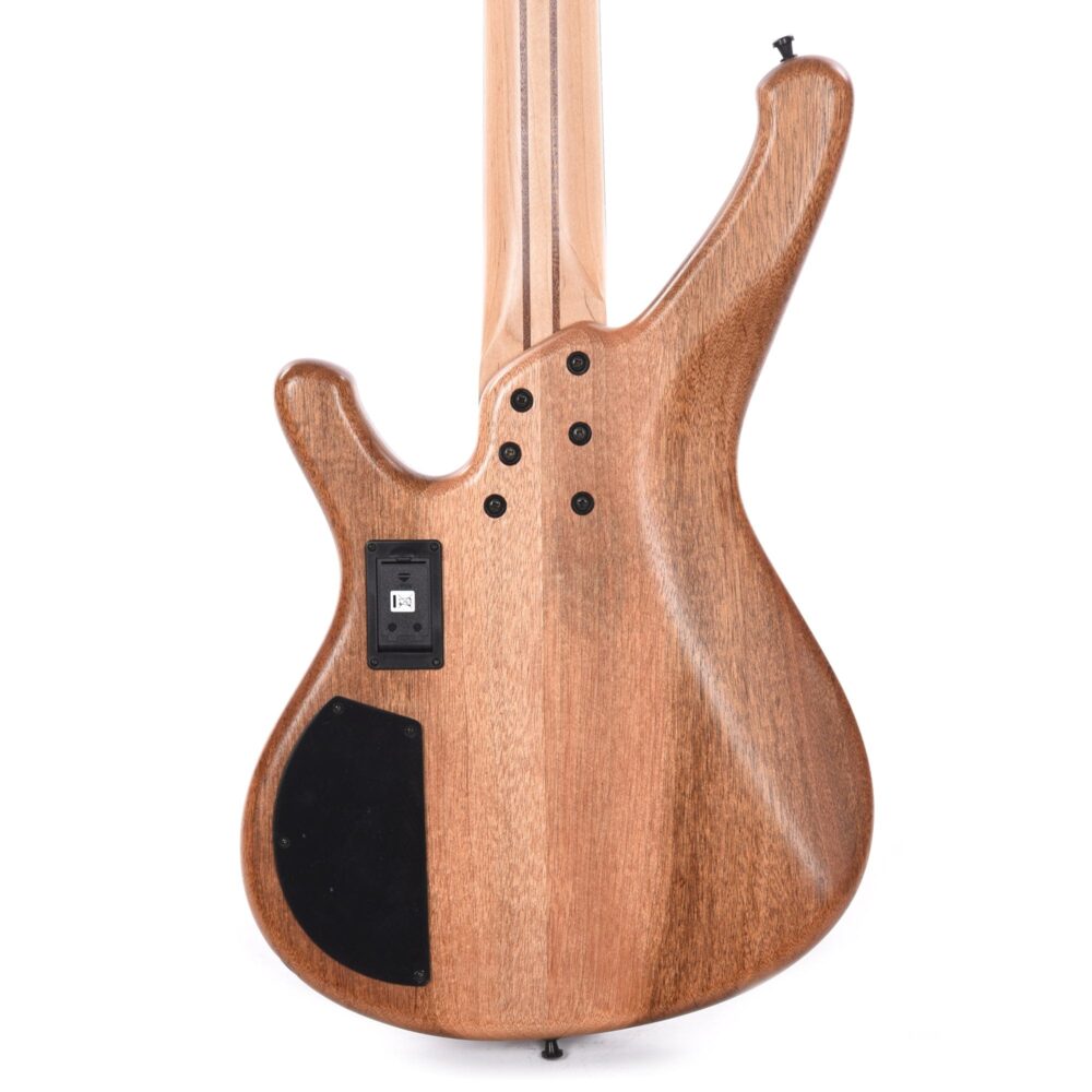 Sandberg Classic Special 5-String Macassar Natural w/Matching Headstock - My Store