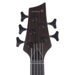 Sandberg Classic Special 5-String Macassar Natural w/Matching Headstock - My Store