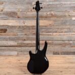 Status Graphite Stealth Bass Carbon Fiber 2010 - My Store