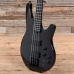 Status Graphite Stealth Bass Carbon Fiber 2010 - My Store