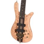 Warwick Custom Shop Master Built 2018 Limited Streamer 5-String - My Store