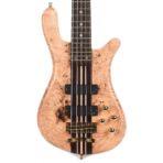 Warwick Custom Shop Master Built 2018 Limited Streamer 5-String - My Store