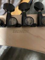 ESP George Lynch Signature-Sunburst Tiger - The Guitar Rescue-The Guitar Rescue