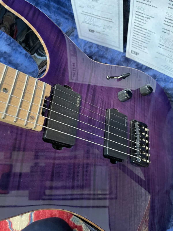 ESP USA M-II - The Guitar Rescue-The Guitar Rescue