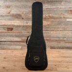 Dingwall Combustion 5 Natural - The Guitar Rescue-The Guitar Rescue