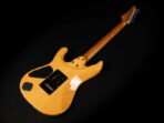 2018 Ibanez TQM1-NT Tom Quayle Signature with Roasted Maple Neck - Natural | Japan Prestige Series HSH Seymour Duncan DiMarzio Pickups | OHSC - The Guitar Rescue-The Guitar Rescue