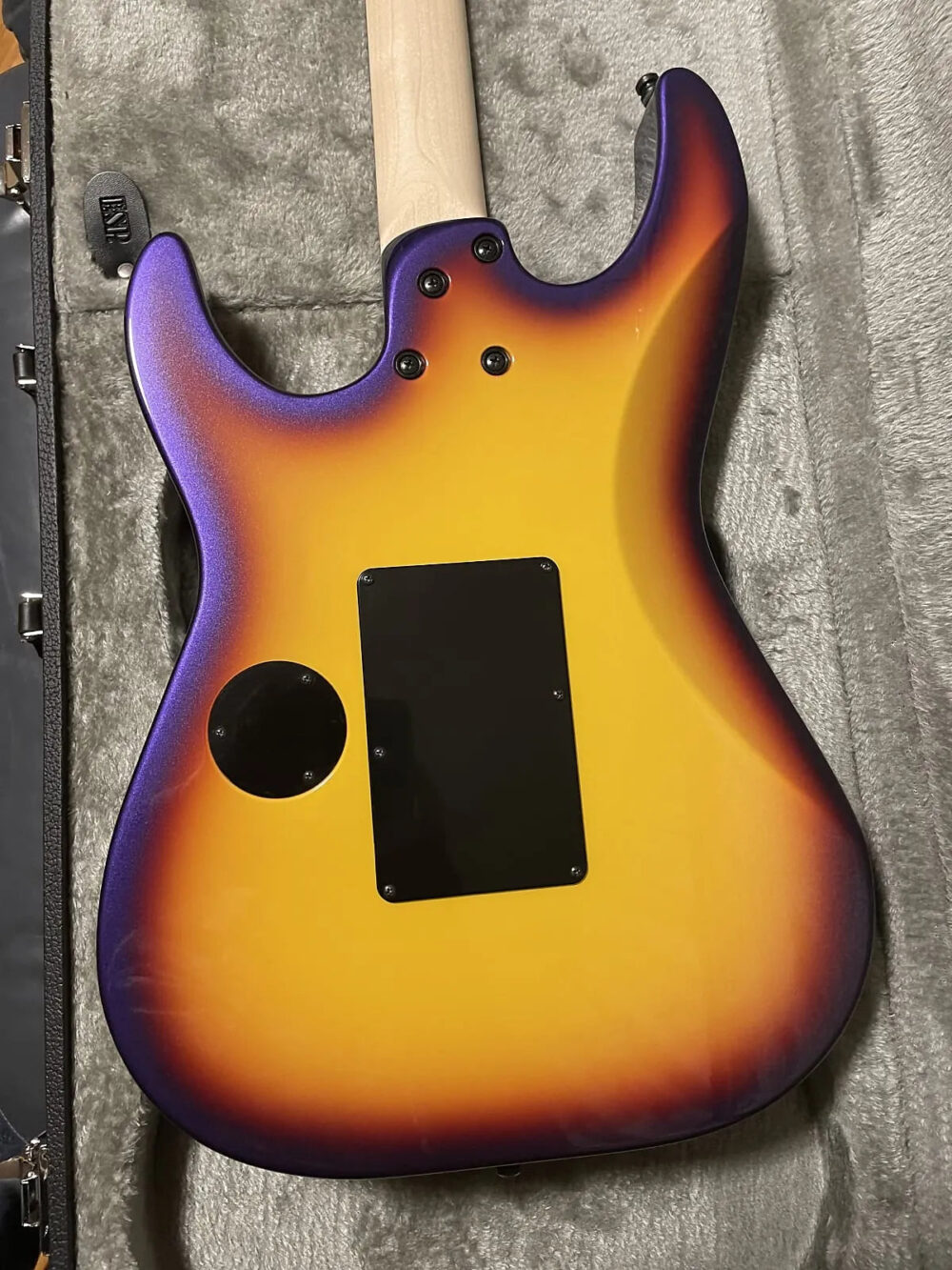 ESP George Lynch Signature-Sunburst Tiger - The Guitar Rescue-The Guitar Rescue