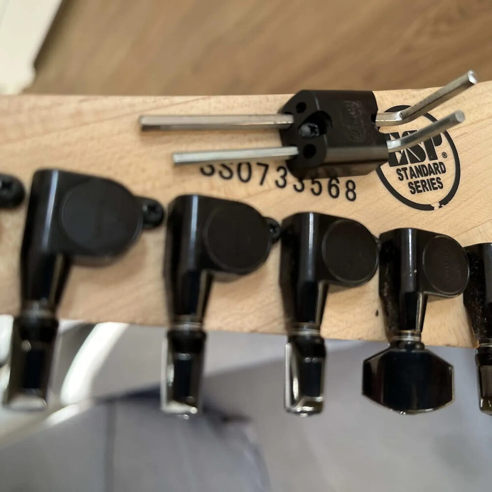 ESP Standard M-II Maple - electric guitar with Floyd Rose, year 2007, with OHSC - The Guitar Rescue-The Guitar Rescue