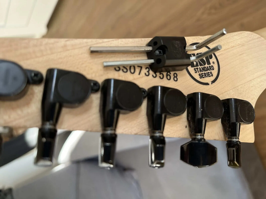 ESP Standard M-II Maple - electric guitar with Floyd Rose, year 2007, with OHSC - The Guitar Rescue-The Guitar Rescue