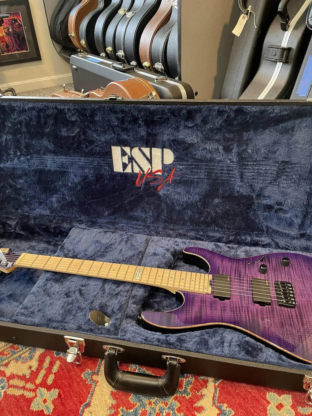 ESP USA M-II - The Guitar Rescue-The Guitar Rescue