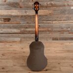 National N Bass Nickel - The Guitar Rescue-The Guitar Rescue