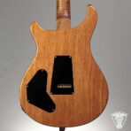 2021 PRS DGT Signature Wood Library Brazilian 2021 - 7.51 LBS (FS/FT) - The Guitar Rescue-The Guitar Rescue