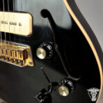 Gibson Blueshawk 1998 - 6.45 LBS (FS/FT) - The Guitar Rescue-The Guitar Rescue