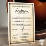 2025 Eastman AC330E-12 - 6.15 LBS (FS/FT) - The Guitar Rescue-The Guitar Rescue