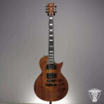 ESP LTD EC-1000 Deluxe 2016 (FS/FT) - The Guitar Rescue-The Guitar Rescue