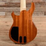 PRS GG5 Gary Grainger 10 Top Eriza Verde 2017 - The Guitar Rescue-The Guitar Rescue