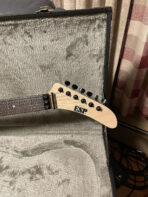 ESP George Lynch Signature-Sunburst Tiger - The Guitar Rescue-The Guitar Rescue