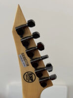 ESP Alexi Laiho Signature Blacky RARE 2010 - The Guitar Rescue-The Guitar Rescue