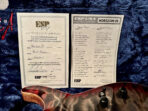 ESP USA Horizon II 2024 - Blood Moon - The Guitar Rescue-The Guitar Rescue