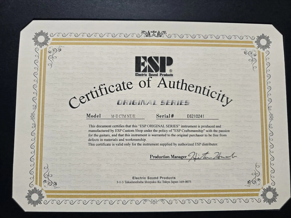 ESP Original Series Custom Shop M-II NTB - Glitter Storm - The Guitar Rescue-The Guitar Rescue